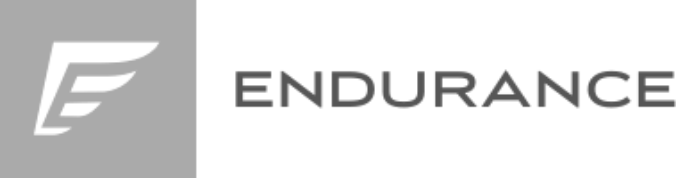 the endurance logo